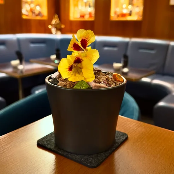 Dino's Pot Plant Drink